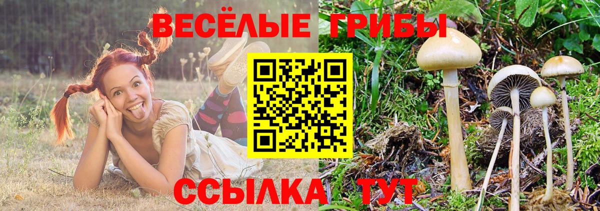 Псилоцибиновые грибы прущие грибы Сатка