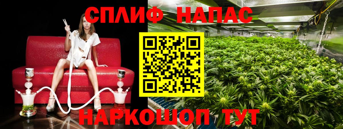 Шишки марихуана MAZAR Сатка